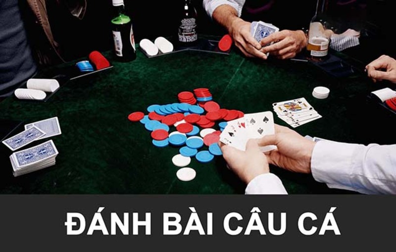 Người chơi cần nắm vững quy tắc cược bài câu cá